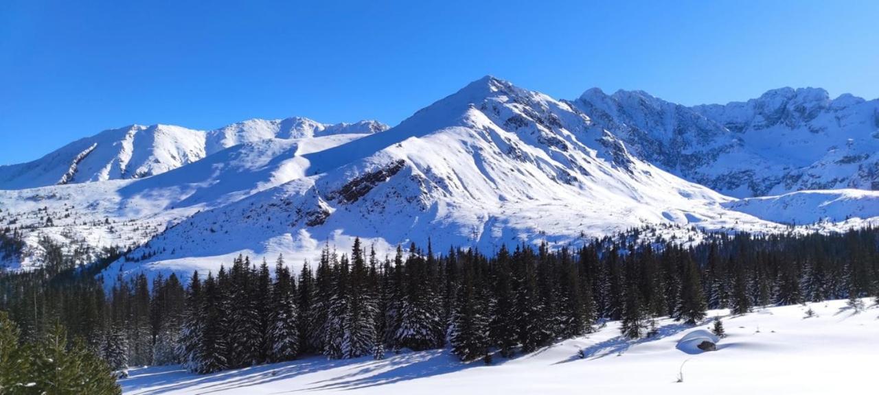 Hotel Boruta Zakopane Dış mekan fotoğraf